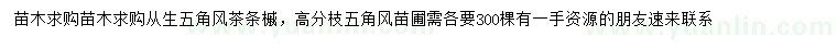 求購(gòu)從生五角楓、茶條槭