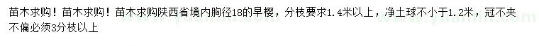 求購胸徑18公分早櫻