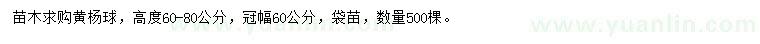 求購高度60-80公分黃楊球