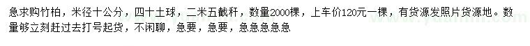 求購米徑14公分竹柏