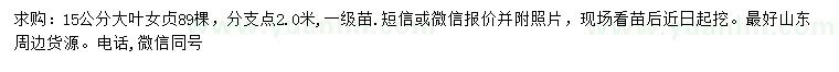 求購(gòu)15公分大葉女貞