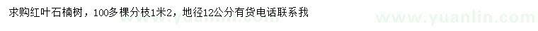 求購地徑12公分紅葉石楠