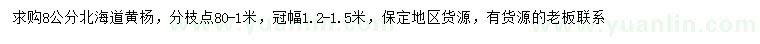 求購8公分北海道黃楊