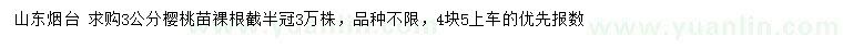求購3公分櫻桃苗