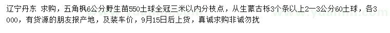 求購6公分五角楓、3個(gè)條以上叢生蒙古櫟