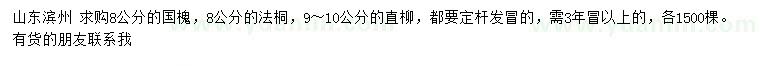 求購國槐、法桐、直柳，
