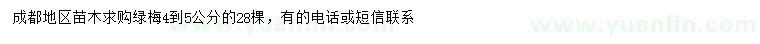 求購4-5公分綠梅