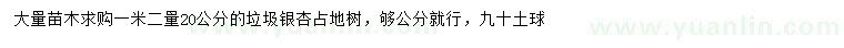求購1米量20公分垃圾銀杏