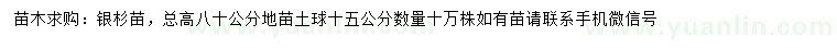 求購總高80公分銀杉苗