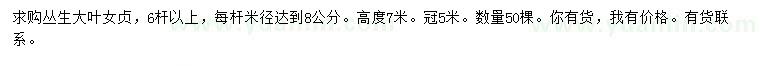 求購6桿以上叢生大葉女貞