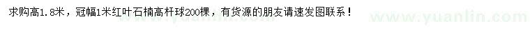 求購高1.8米高桿紅葉石楠球
