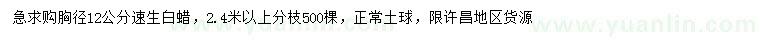 求購(gòu)胸徑12公分速生白蠟