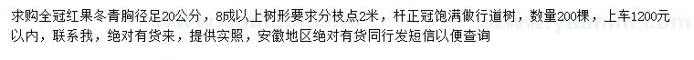 求購胸徑足20公分紅果冬青