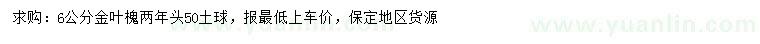 求購6公分金葉槐