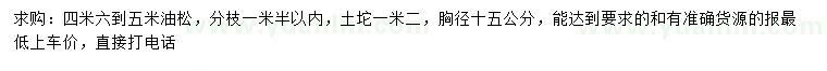 求購(gòu)4.6-5米油松