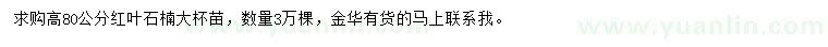 求購高80公分紅葉石楠