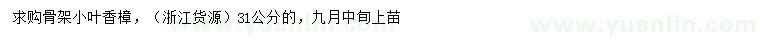 求購31公分小葉香樟