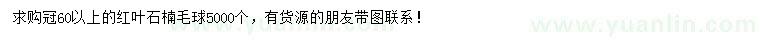 求購(gòu)冠幅60公分以上紅葉石楠毛球