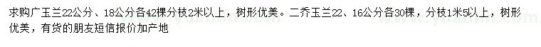 求購18、22公分廣玉蘭、16、22公分二喬玉蘭