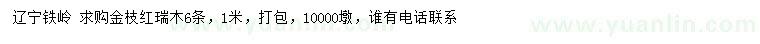 求購1米金枝紅瑞木