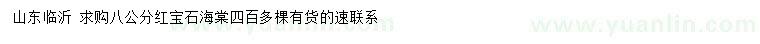 求購8公分紅寶石海棠