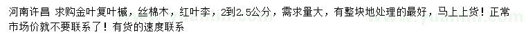 求購(gòu)金葉復(fù)葉槭、絲棉木、紅葉李