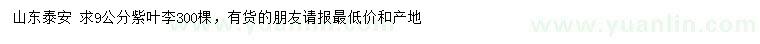 求購9公分紫葉李