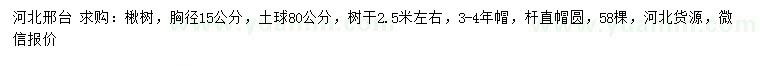 求購(gòu)胸徑15公分楸樹(shù)