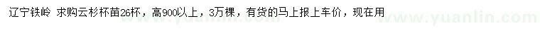 求購高900公分以上云杉
