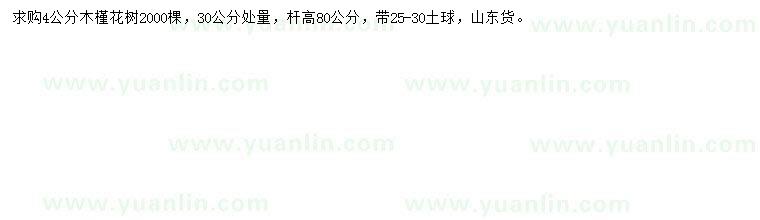 求購30公分處理4公分木槿