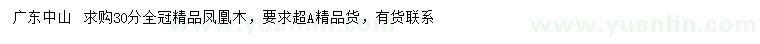 求購30公分精品鳳凰木