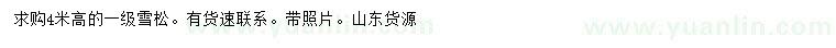 求購(gòu)高4米雪松