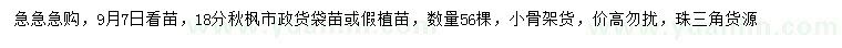 求購18公分秋楓