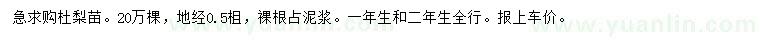 求購地徑0.5米杜梨苗