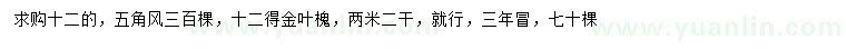 求購(gòu)12公分五角楓、金葉槐