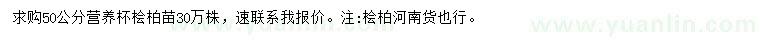 求購50公分檜柏