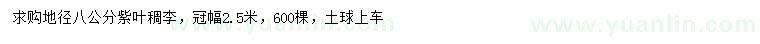 求購地徑8公分紫葉稠李