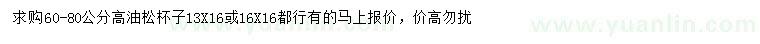 求購高60-80公分油松