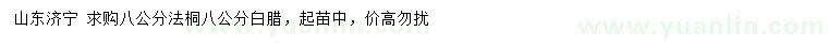 求購8公分法桐、白臘