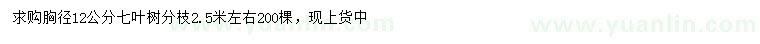 求購胸徑12公分七葉樹
