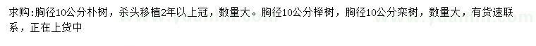 求購(gòu)樸樹(shù)、櫸樹(shù)、欒樹(shù)