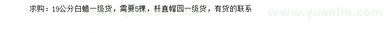 求購19公分白蠟