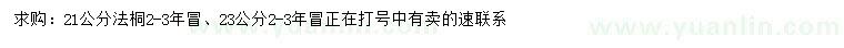 求購21、23公分法桐