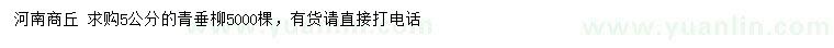 求購(gòu)5公分青垂柳