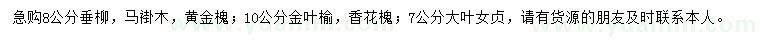 求購垂柳、馬褂木、黃金槐等
