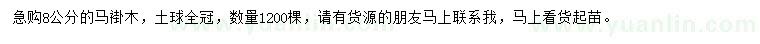 求購8公分的馬褂木
