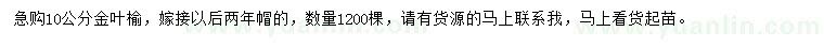求購(gòu)10公分金葉榆