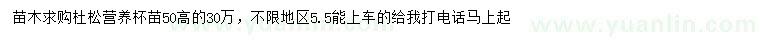 求購高50公分杜松