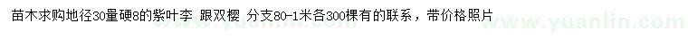 求購地徑30量硬8公分紫葉李、雙櫻