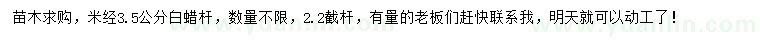求購米徑3.5公分白蠟桿